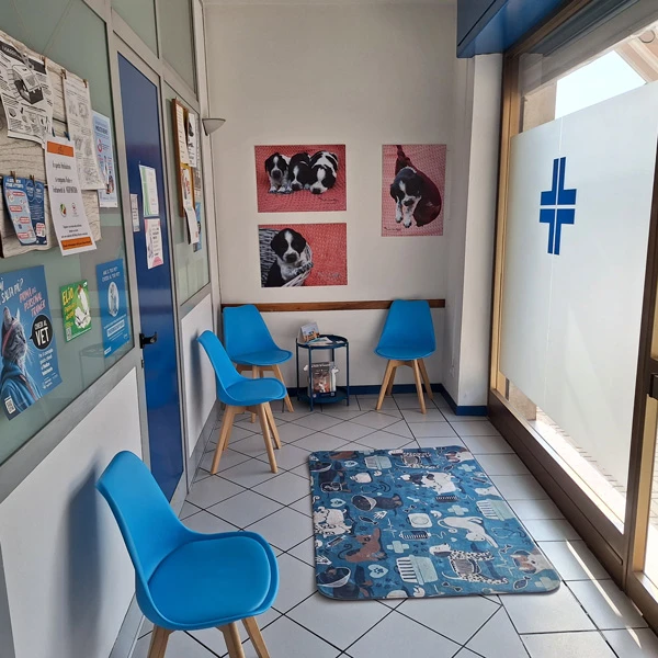 Ambulatorio Veterinario Dr. Gnocchi Giorgio