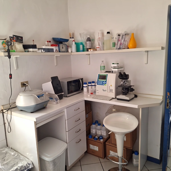 Ambulatorio Veterinario Dr. Gnocchi Giorgio